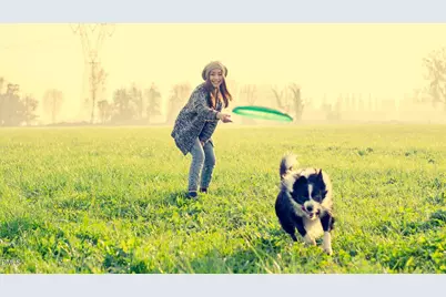 605 Hedrick Ridge Road #305, Cary, NC 27519 - Photo 35