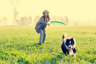 605 Hedrick Rdg Rd, Cary, NC 27519 - Photo 35