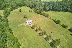 754 Epps Clark Rd, Siler City, NC 27344 - Photo 51