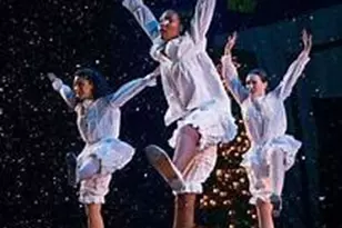 1050 Zelkova Ln, Chapel Hill, NC 27517 - Photo 29