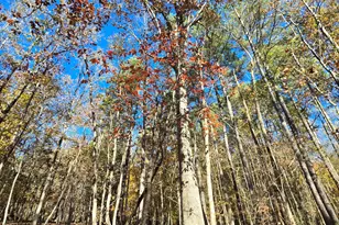 864 Julie McKnight Rd, Kittrell, NC 27544 - Photo 53