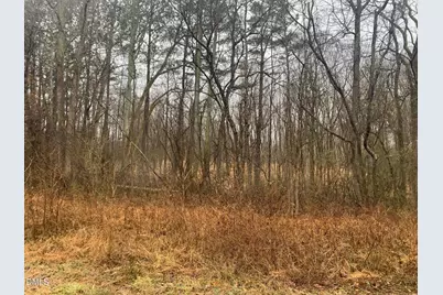 0 Rives Chapel Church Road, Siler City, NC 27344 - Photo 9