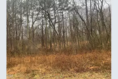 0 Rives Chapel Church Road, Siler City, NC 27344 - Photo 11