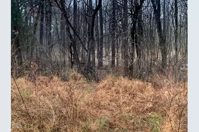 0 Rives Chapel Church Road, Siler City, NC 27344 - Photo 11