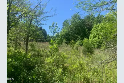 0 Rives Chapel Church Road, Siler City, NC 27344 - Photo 3