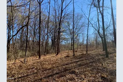 0 Rives Chapel Church Road, Siler City, NC 27344 - Photo 1