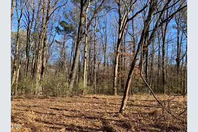 0 Rives Chapel Church Road, Siler City, NC 27344 - Photo 5