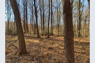0 Rives Chapel Church Road, Siler City, NC 27344 - Photo 21