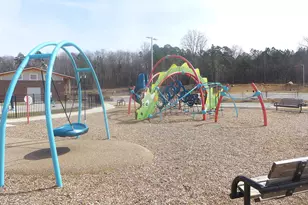 189 Millennium Dr, Pittsboro, NC 27312 - Photo 29