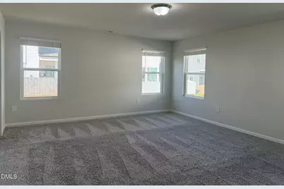 87 Anise Tree Way, Clayton, NC 27527 - Photo 51