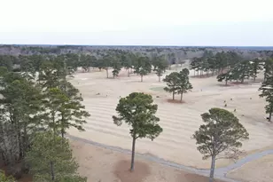 141 Chicora Club Dr, Dunn, NC 28334 - Photo 23