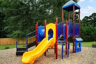 1028 Red Finch Wy, Angier, NC 27501 - Photo 49