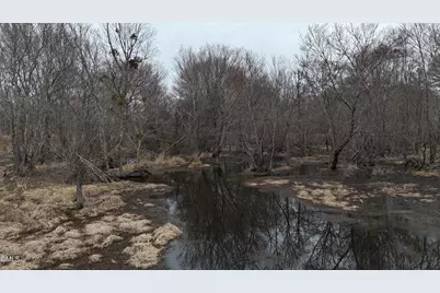 0 Walnut Grove Church Road, Louisburg, NC 27549 - Photo 41