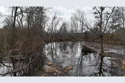 0 Walnut Grove Church Road, Louisburg, NC 27549 - Photo 7