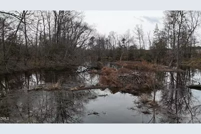 0 Walnut Grove Church Road, Louisburg, NC 27549 - Photo 3