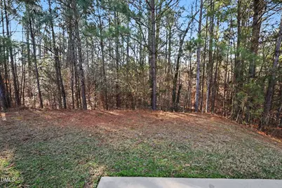 3920 Mike Levi Court, Raleigh, NC 27610 - Photo 37