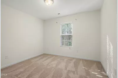 3920 Mike Levi Court, Raleigh, NC 27610 - Photo 27