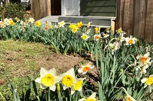 2804 Shofield Ct, Raleigh, NC 27615 - Photo 31