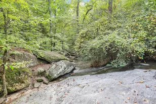 1536 Rhodeschool Dr, Wendell, NC 27591 - Photo 83