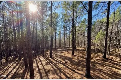 0 Highway 86, Prospect Hill, NC 27314 - Photo 1