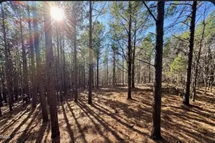 0 Hwy 86, Prospect Hill, NC 27314 - Photo 1