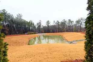 401 Haywood Glen Dr, Knightdale, NC 27545 - Photo 27