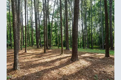 45 Softwood Drive, Franklinton, NC 27525 - Photo 31