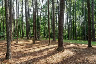 45 Softwood Dr, Franklinton, NC 27525 - Photo 31