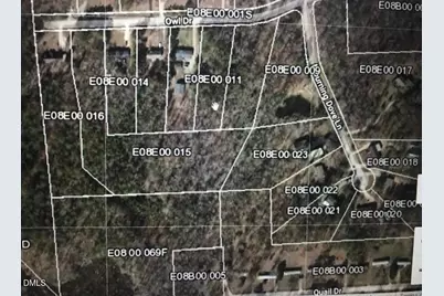 195 Owl Drive, Youngsville, NC 27596 - Photo 3