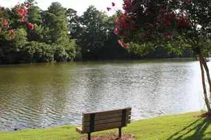 236 Eyam Hall Ln, Apex, NC 27502 - Photo 35