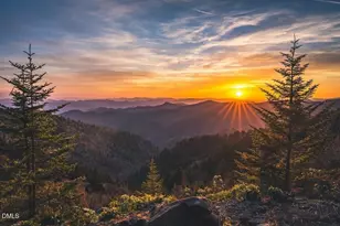 82 Northwood Dr, Fuquay Varina, NC 27526 - Photo 41