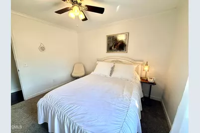 242 Lewis Winstead Loop Road, Roxboro, NC 27574 - Photo 41