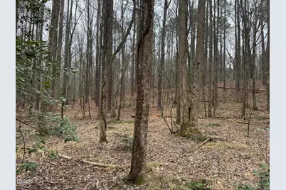 0 Eatmon Road, Zebulon, NC 27597 - Photo 33