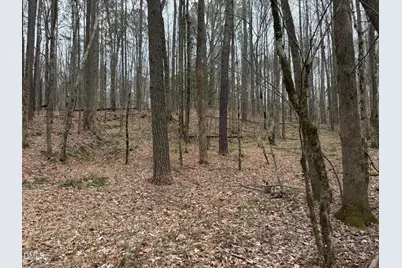 0 Eatmon Road, Zebulon, NC 27597 - Photo 35