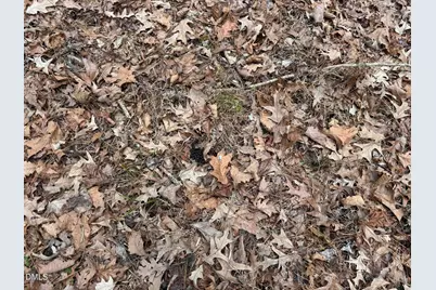 0 Eatmon Road, Zebulon, NC 27597 - Photo 9