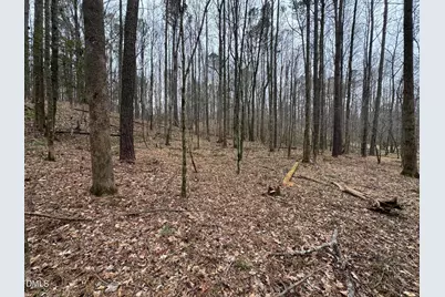 0 Eatmon Road, Zebulon, NC 27597 - Photo 55