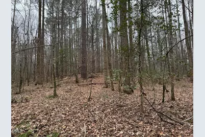 0 Eatmon Road, Zebulon, NC 27597 - Photo 15