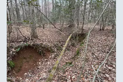 0 Eatmon Road, Zebulon, NC 27597 - Photo 59