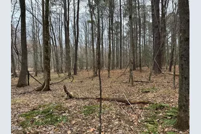 0 Eatmon Road, Zebulon, NC 27597 - Photo 37