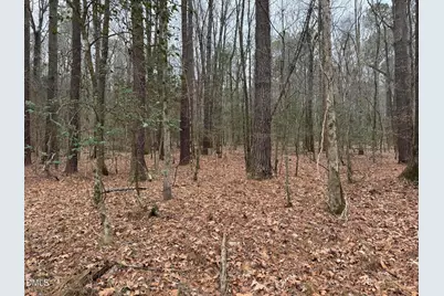 0 Eatmon Road, Zebulon, NC 27597 - Photo 25