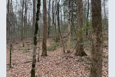 0 Eatmon Road, Zebulon, NC 27597 - Photo 5