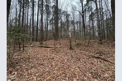 0 Eatmon Road, Zebulon, NC 27597 - Photo 61