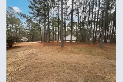 299 Greenleaf Road, Angier, NC 27501 - Photo 15