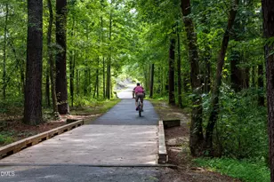 319 Jeter Grove Rd, Apex, NC 27523 - Photo 21