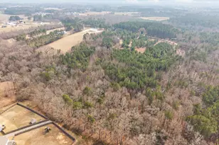 354 Chesley Ln, Lillington, NC 27546 - Photo 37