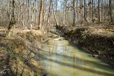 350 Wild Rose Lane, Pittsboro, NC 27312 - Photo 63