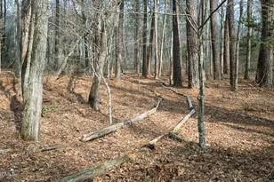 350 Wild Rose Ln, Pittsboro, NC 27312 - Photo 59