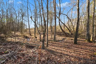 7001 Bobby Jean Road, Julian, NC 27283 - Photo 9