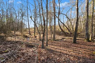 7001 Bobby Jean Rd, Julian, NC 27283 - Photo 9