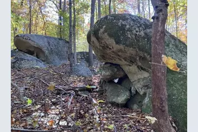 9 Buttonwood Lane, Roxboro, NC 27574 - Photo 5